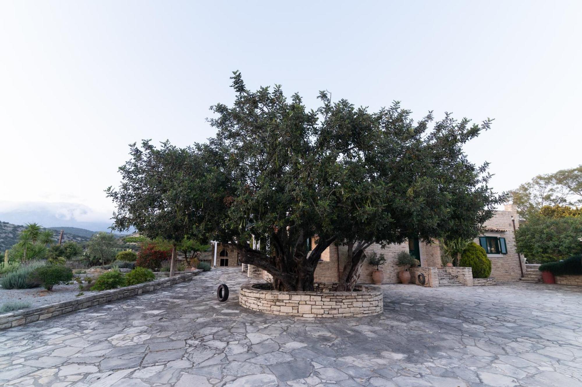 Carob Villa Moirai ภายนอก รูปภาพ